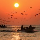 떠오르는 태양 이미지