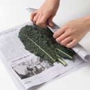 뉴그린유통 이미지