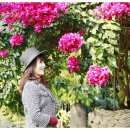 동백커피 이미지