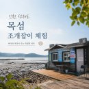 수협바다회상 | "서해 갯벌은 여기가 최고예요!" 인천 선재도 목섬 선재어촌체험마을 조개잡이 체험 여름 주말 가볼만한...