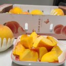 밀담푸릇화성