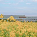 휘닉스 제주 섭지코지 이미지