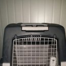 충남켄넬 이미지