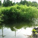 표선초등학교 운동장 이미지