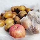 소랑다래랑 이미지