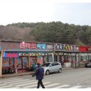 전라도맛집 | 부담 없이 한 끼 즐기기 좋았던 전라도식당 양양 맛집 후기