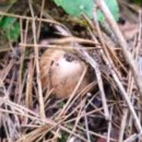 본연농장 이미지