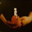 승우목장 이미지