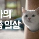 크리에이티브시즌
