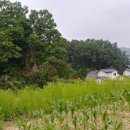 아담행정사 이미지