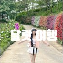 맞춤형코스 이미지