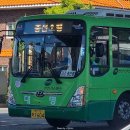 대명교통(마을버스) 이미지