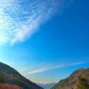 성불산자연휴양림 캠핑장 이미지