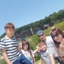 안동강노을 네이버블로그