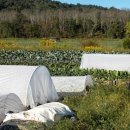 현대농약사 이미지