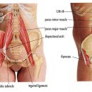 구구한의원 이미지