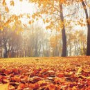 가을 퍼스널컬러에 맞게 스타일링 이미지