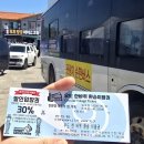 백사기사님식당 | [제주여행2] 우도⛴️(우도봉, 비양도, 서빈백사)/ 우도여객선 왕복요금 배시간표/ 우도이동수단 우도순환버스