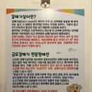 금오갈매기 - 예산군 애향9길 24 | 금오갈매기