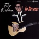 In Dreams / Roy Orbison 이미지