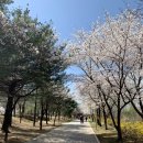 학운공원 쪽 이미지