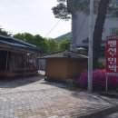 큰소나무민박 이미지