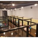 킹스유치원 이미지