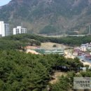 남양도호부 선정비 이미지