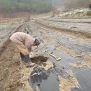 우리네펜션 민박 이미지