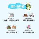 대동라이브