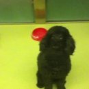 몽글 몽글 이미지