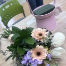 꽃과함께하는힐링원예 | 스트레스 가득한 일상 속, 꽃과 함께하는 힐링의 시간.포항 꽃바구니 힐링원예수업/울산 대구 부산 경주...