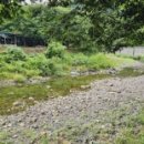 천등민박 이미지