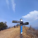 산동면사무소 이미지