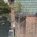 아리랑공인중개사무소 이미지