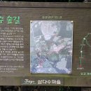 삼다수 숲길 - 조천읍 교래리 이미지