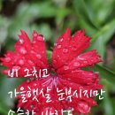 소슬한 바람도 이미지