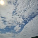 What a sky / Nico Fidenco 태양의 유혹 _ 니코 피덴코 이미지