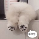 모멍트 네이버블로그