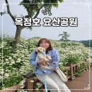 요산마을 | 전북 임실 옥정호 요산공원 주차장 셔틀버스 애견동반 가볼만한곳