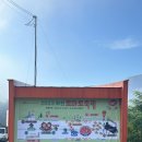 토마토시네마 | 강원도 화천 가볼만한곳 [화천 토마토 축제] 다녀온 후기~!주차장/행사/토마토시네마