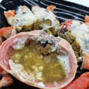 진남횟집 물회 새조개하모샤브샤브 여수돌산본점 이미지