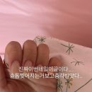 사월엔사랑을합시다!