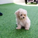 여수애펜션 이미지