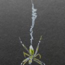 구름꽈배기.만두 이미지