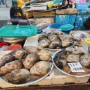 수산중앙로 | 속초중앙시장맛집 미원수산 양미리구입한 내돈내산 솔직한후기