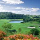 팜스프링 이미지