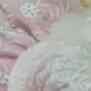 리버풀동물병원 이미지