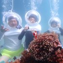 가곡자연휴양랜드 | 보라카이 헬멧 다이빙 투어 후기｜휴양 중 짧게 즐기기 좋은 액티비티