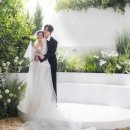 제주피움 이미지